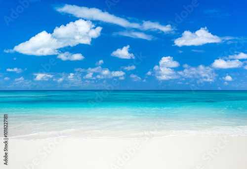 beautiful beach and tropical sea