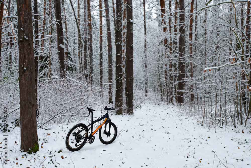 Bicycle the forest in winter with nature. sport landscape outdoor concept. man is standing on a bike in a snowy forest. a cyclist stands on a bike in the snowy forest in winter lifestyle. Bicycle the forest in winter with nature. sport landscape outdoor concept. man is standing on a bike in a snowy forest. a cyclist stands on a bike in the snowy forest in winter lifestyle.