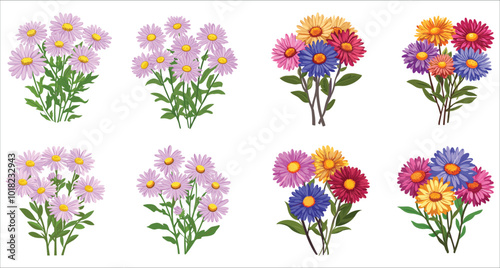 Colorful aster flower vector collection. Realistic aster flower vector set. Set of aster flower flowers. Abstract aster flower vector set. Set of watercolor aster flower vector illustration