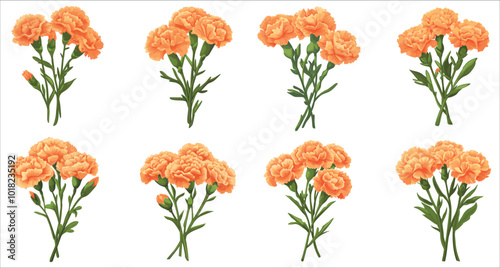 Beautiful orange carnation flower vector illustration. Realistic orange carnation flowers. Set of botanical orange carnation flower vector. Bunch of orange carnation flowers. Abstract carnation flower