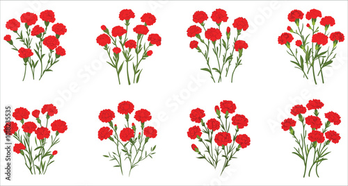 Beautiful red carnation flower vector illustration. Realistic red carnation flowers. Set of botanical red carnation flower vector. Bunch of red carnation flowers. Abstract carnation flower icons