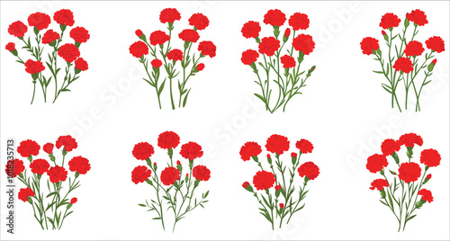 Beautiful red carnation flower vector illustration. Realistic red carnation flowers. Set of botanical red carnation flower vector. Bunch of red carnation flowers. Abstract carnation flower icons