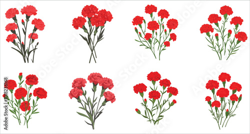 Beautiful red carnation flower vector illustration. Realistic red carnation flowers. Set of botanical red carnation flower vector. Bunch of red carnation flowers. Abstract carnation flower icons