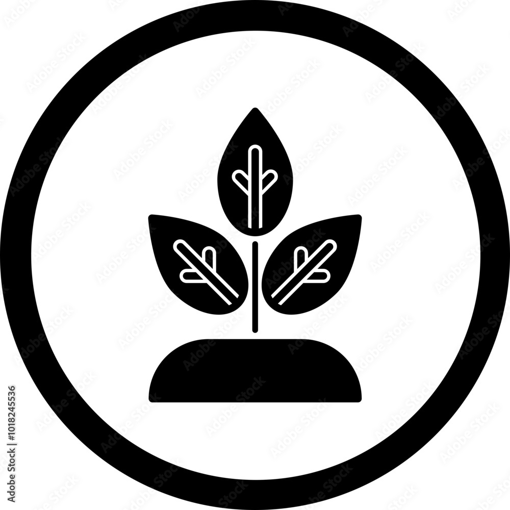 Planting Icon Design Planting Icon Design