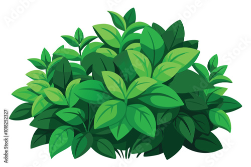 Lush Green Bush Plant Foliage, Illustration on a white background.