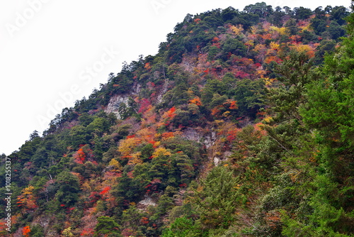 高知県の仁淀川町にある 乙女河原にて photo