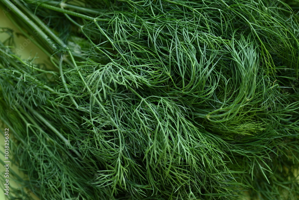 bunch of dill macro texture, close up texture of green dill, macro texture of dill, close up bunch of dill bunch of dill macro texture, close up texture of green dill, macro texture of dill, close up bunch of dill