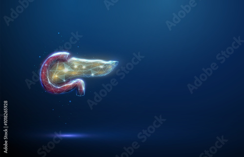 Red and yellow human pancreas and duodenum. Healthcare medical and anatomical concept. Futuristic low poly style.