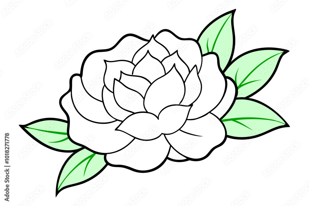 Minimalist black and white peony vector flower drawing
Minimalist black and white peony vector flower drawing