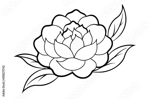 Black and white peony line art vector elegant floral sketch
 photo