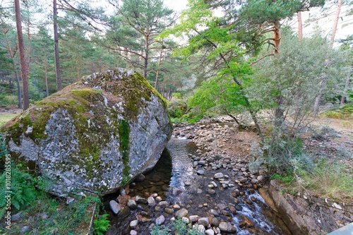 Green forest around large rock next to a river in the black lagoon in Picos de Urbion photo