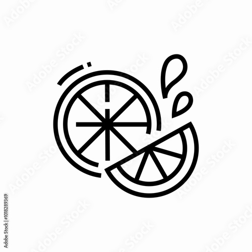 citrus slice icon sign vector