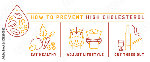 How to prevent high cholesterol. Medical infographic with signs in outline style