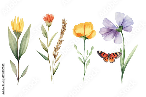 Set of whimsical watercolor wildflowers and charming insect companions