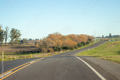 Curva en la ruta