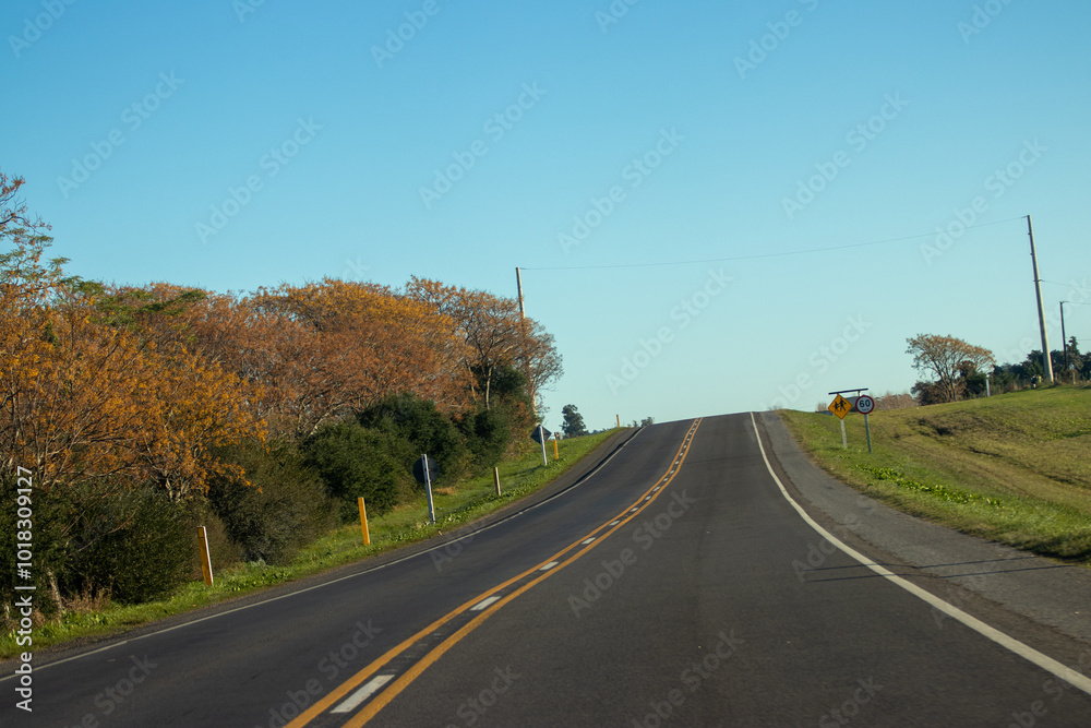 Fototapeta premium Ruta agreste 