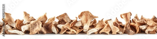 Dried Mushroom. Natural Raw Food on White Background