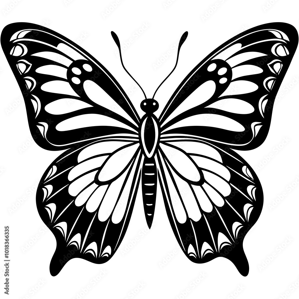 black and white butterfly