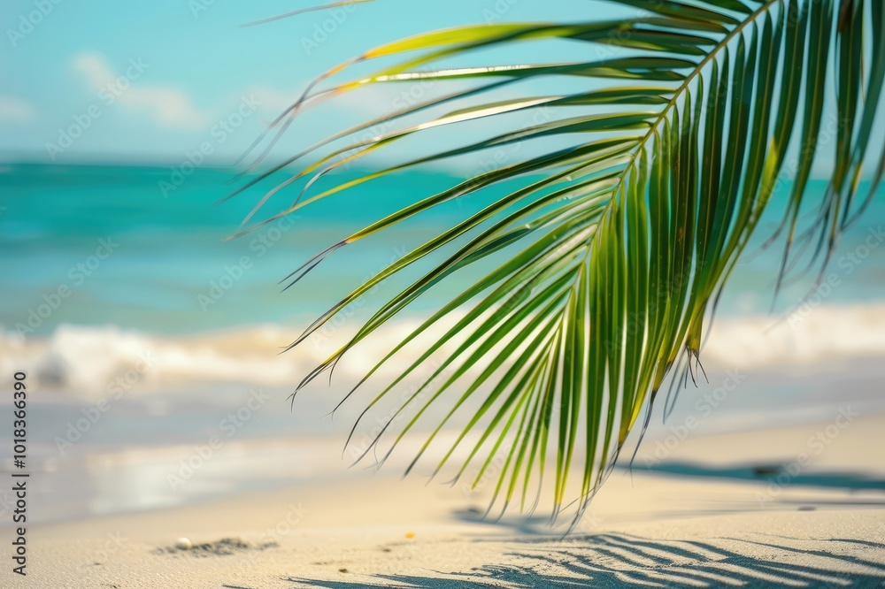 Fototapeta premium Palm Leaf and Sandy Beach with Blurred Bokeh Ocean Background. Summer Branding and Marketing Concept for Products and Services
