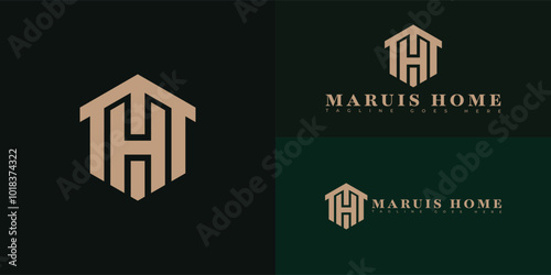 Modern hexagon initial vector letter MH or HM logo in gold color isolated on multiple background colors. The logo is suitable for luxury home furnishing logo design inspiration templates.