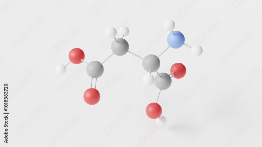 aspartic acid molecule 3d, molecular structure, ball and stick model, structural chemical formula alpha-amino acid aspartic acid molecule 3d, molecular structure, ball and stick model, structural chemical formula alpha-amino acid
