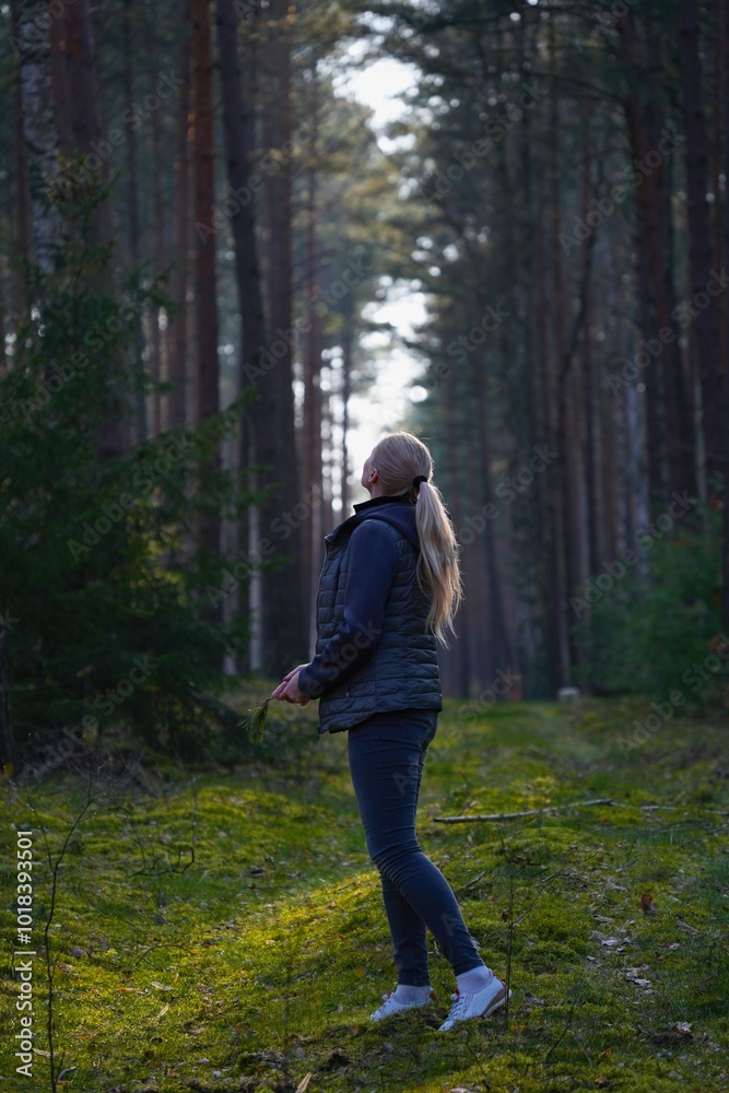 Blonde girl in pine forest on sunny day. Blonde girl in pine forest on sunny day.