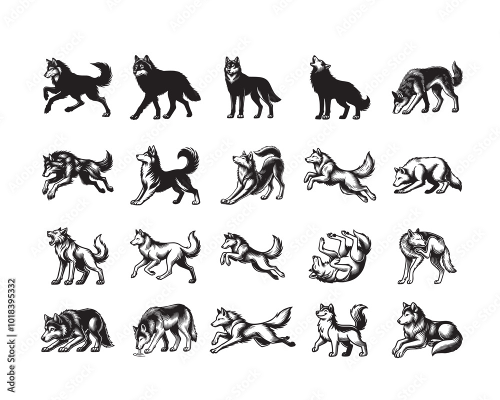 Fototapeta premium Wolf Silhouettes Clipart Design, gray wolf vector illustration Bundle