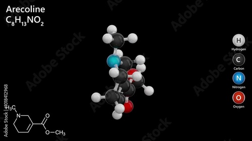 Molecule of Arecoline (C8H13NO2) is a mild stimulant alkaloid. It appears as an oily liquid and acts as a parasympathomimetic agent, enhancing alertness. Black background. 3d rendering. photo