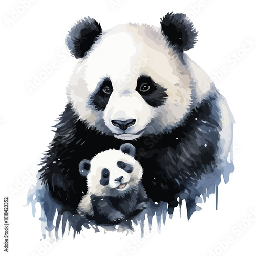 Panda watercolor. Panda bear and baby bear. Panda Bear watercolor illustration isolated on a white background, black and white, panda bear