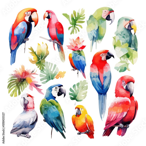  Illustration of a set of colorful parrot with tropical leaves and flowers collection, isolated on white background