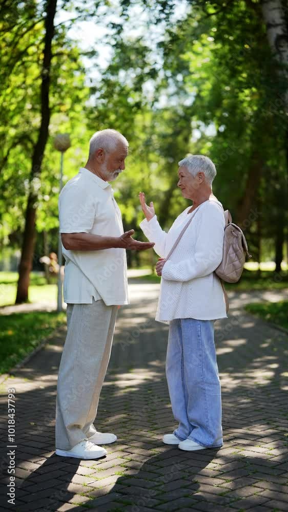 Vertical shot of happy elderly gray-haired man and woman enjoying sunny day outdoors, talking and gesturing while taking walk together in tree-lined park, embodying love and happiness in retirement. Vertical shot of happy elderly gray-haired man and woman enjoying sunny day outdoors, talking and gesturing while taking walk together in tree-lined park, embodying love and happiness in retirement.