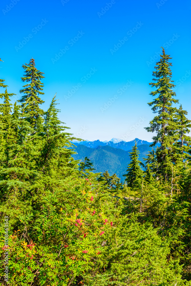 Beautiful landscape of valley in Alpine mountains, small trail, hike root, majestic picturesque view in sunny day Beautiful landscape of valley in Alpine mountains, small trail, hike root, majestic picturesque view in sunny day