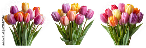 Colorful tulip bouquet isolated on a transparent background perfect for floral-themed illustrations or home decor designs.