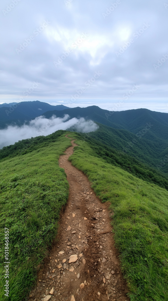 hiking trail on mountain grassy green hills with low white clouds, phone wallpaper background hiking trail on mountain grassy green hills with low white clouds, phone wallpaper background