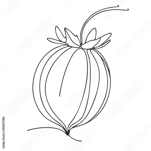 Gooseberry. Icon. Vector drawing. One-line drawing. A simple drawing depicting a continuous line of a item .
