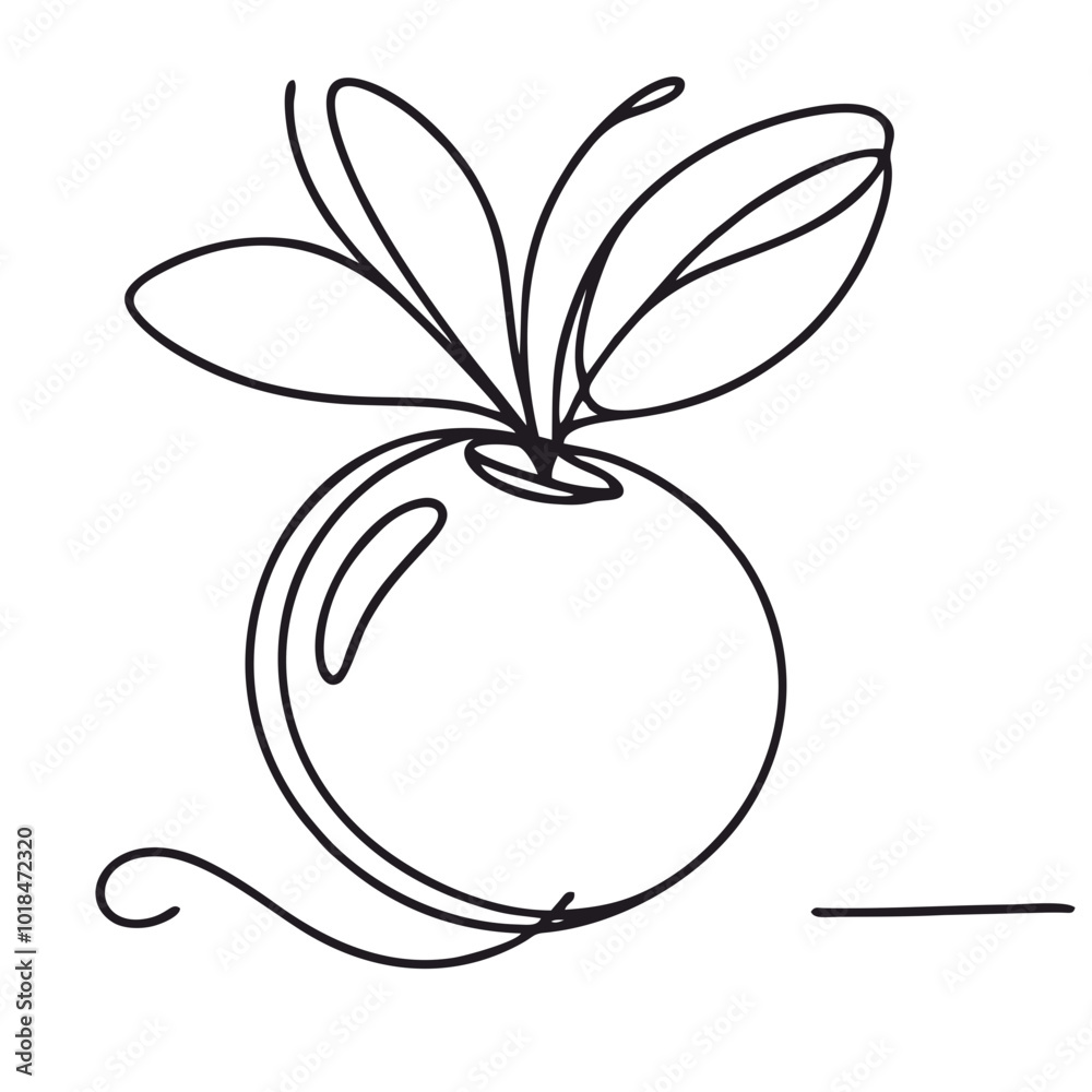 Cranberry. Icon. Vector drawing. One-line drawing. A simple drawing depicting a continuous line of a item . Cranberry. Icon. Vector drawing. One-line drawing. A simple drawing depicting a continuous line of a item .