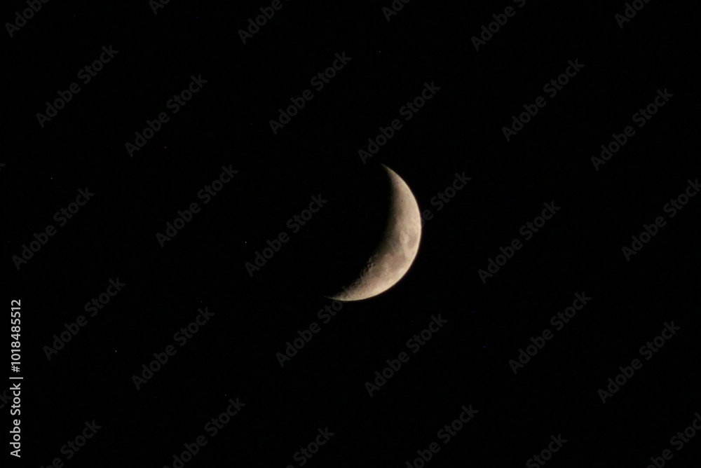 moon in the night sky moon in the night sky