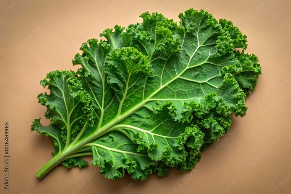An eye-catching kale leaf reveals intricate textures and a rich green shade, beautifully contrasted by a neutral background that enhances its lively, fresh appearance. An eye-catching kale leaf reveals intricate textures and a rich green shade, beautifully contrasted by a neutral background that enhances its lively, fresh appearance.