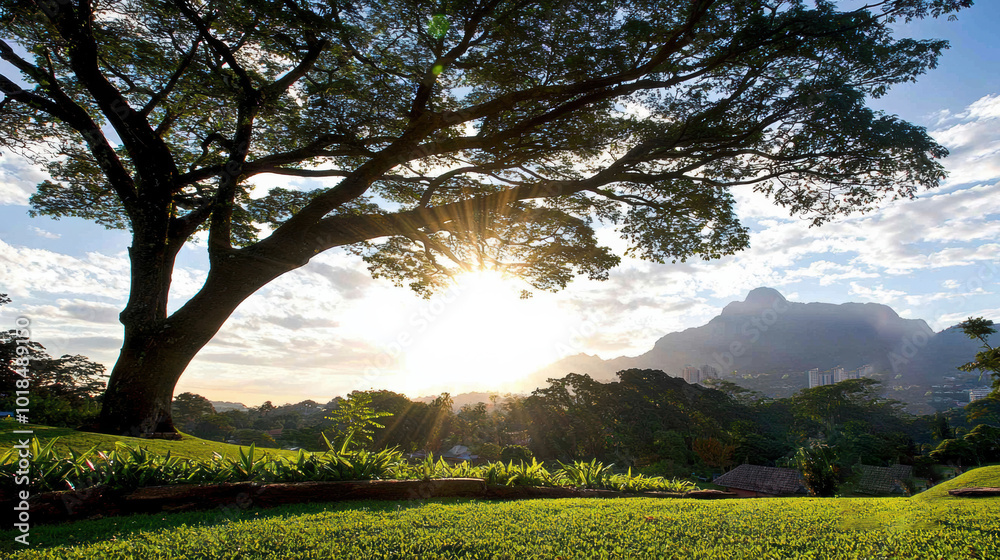 Fototapeta premium Serene Sunset Over Mountain and Tree Landscape