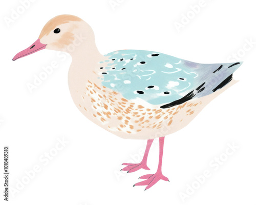 PNG Duck drawing animal bird. photo