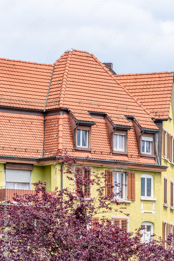 Fragment of a very neat and colorful home with gorgeous outdoor landscape in suburbs