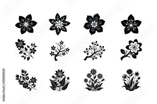 glower grass and bracnh of flower set