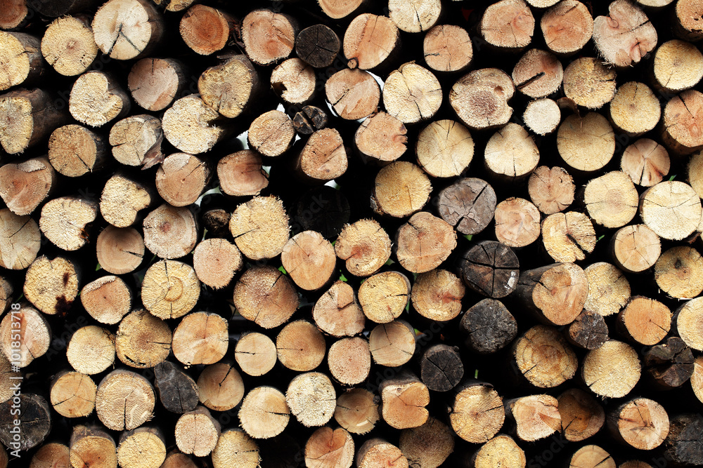 Stacked Logs for Firewood or Rustic Decor Stacked Logs for Firewood or Rustic Decor