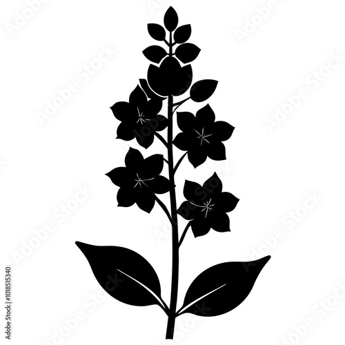  Delphinium silhouette vector illustration 