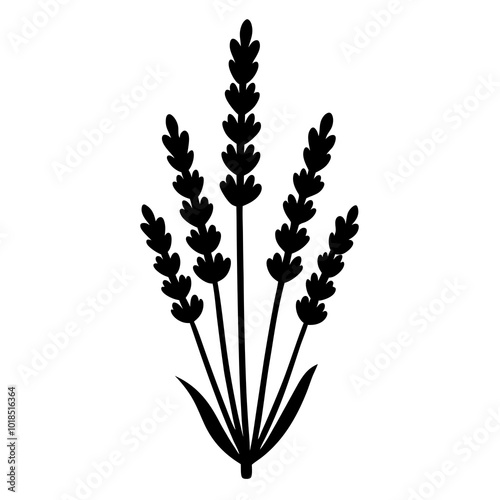 Lavender silhouette vector illustration