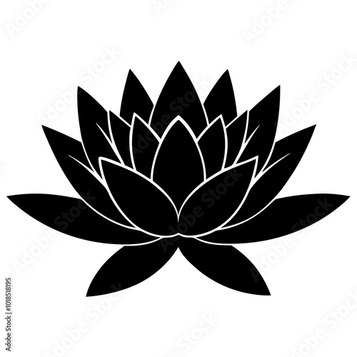  Water lily silhouette vector illustration