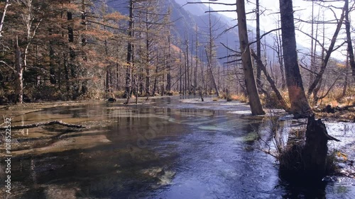 上高地を流れる梓川と紅葉　長野県松本市