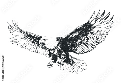 Eagle perched protectively over its nest. Vector retro hand drawn illustration.