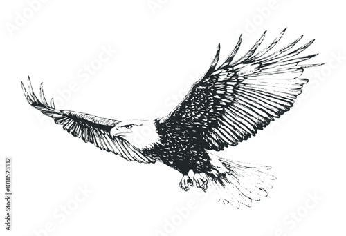 Eagle spreading its wings above a nest in nature. Vector retro hand drawn illustration.