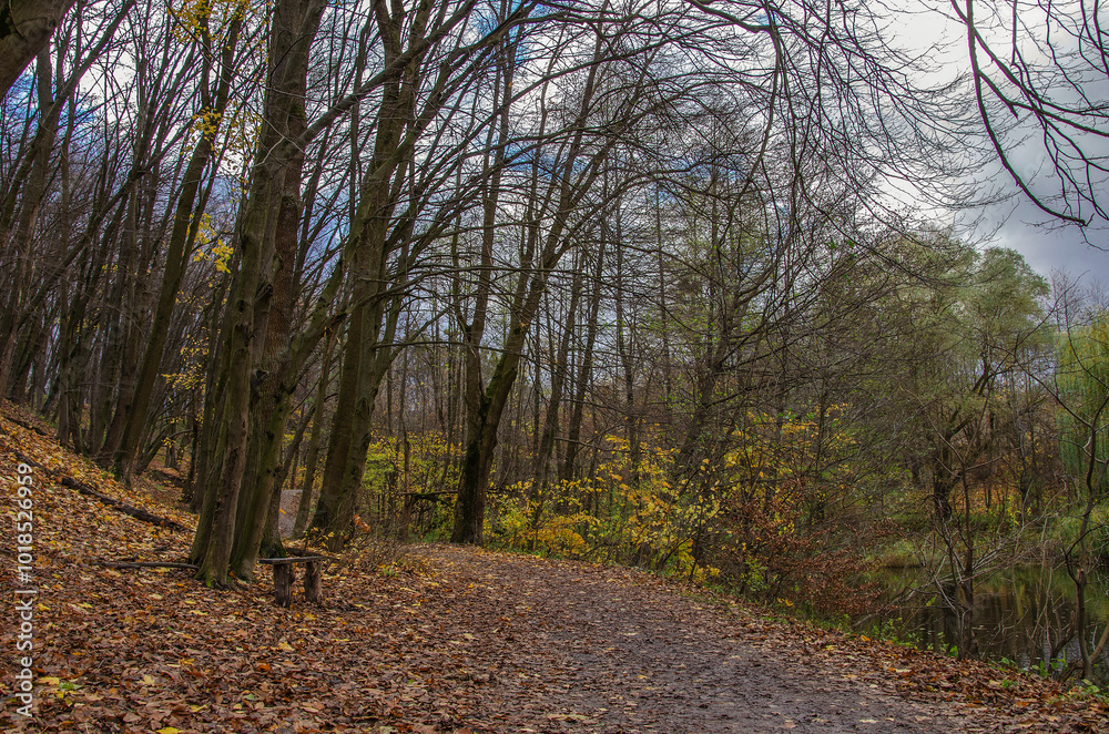 Obraz premium Late autumn in the old park.